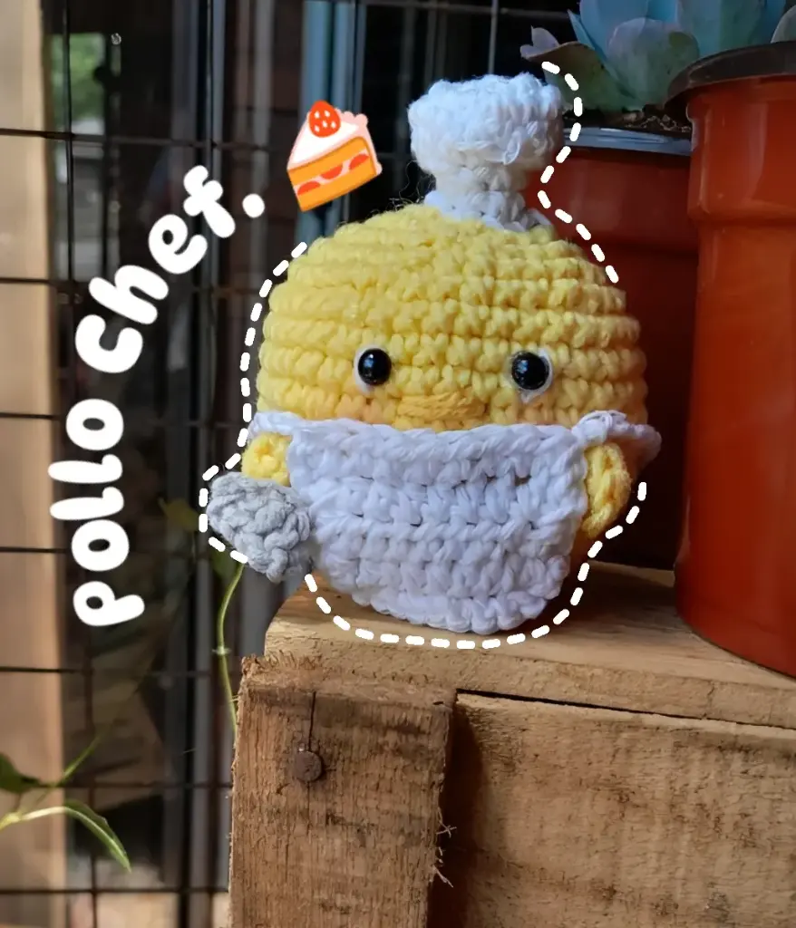 Pollo chef