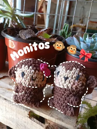 Monitos 🐵🐵🎀