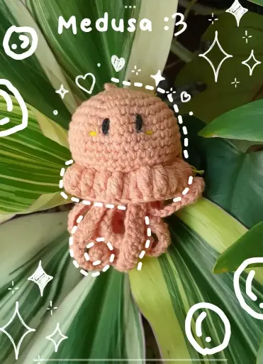 Pulpo